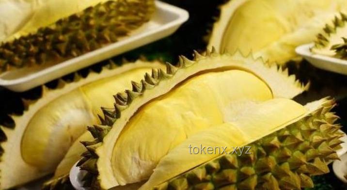**游客在新加坡酒店吃榴莲被罚千元：规定严苛与文明塑造的深度剖析**